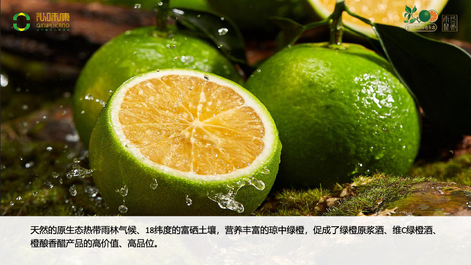 未标题-1-06.jpg
